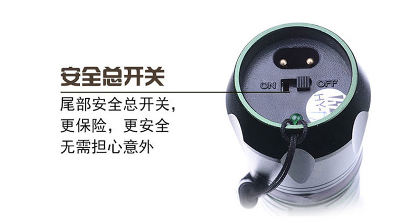 黑鹰8810电棍充电器